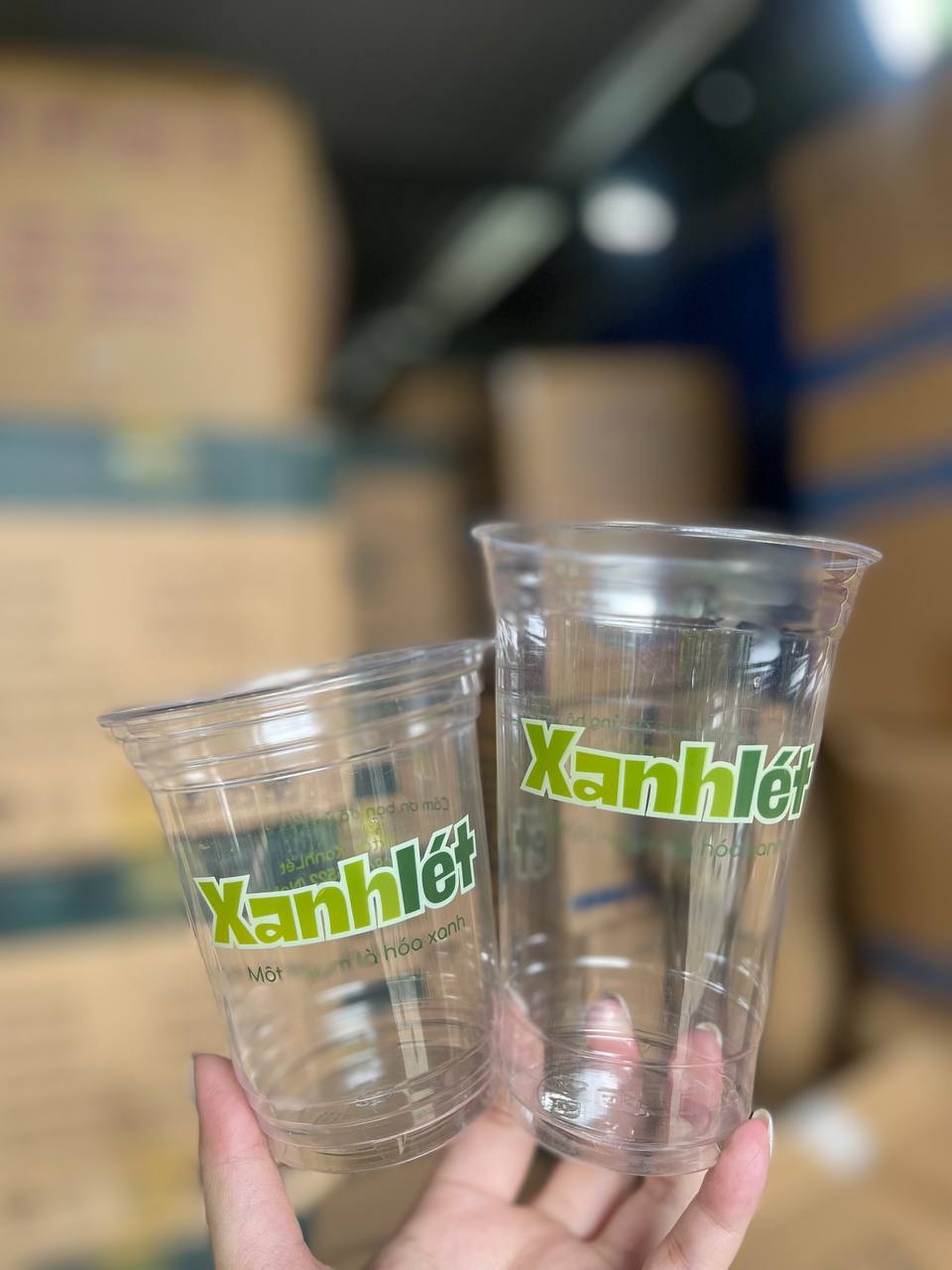 ly nhựa in logo theo yêu cầu - Hai ly nhựa trong suốt, một ly nhỏ và một ly lớn, được in logo thương hiệu quán màu xanh lá