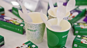 Top 4 loại ly giấy thông dụng nhất hiện nay