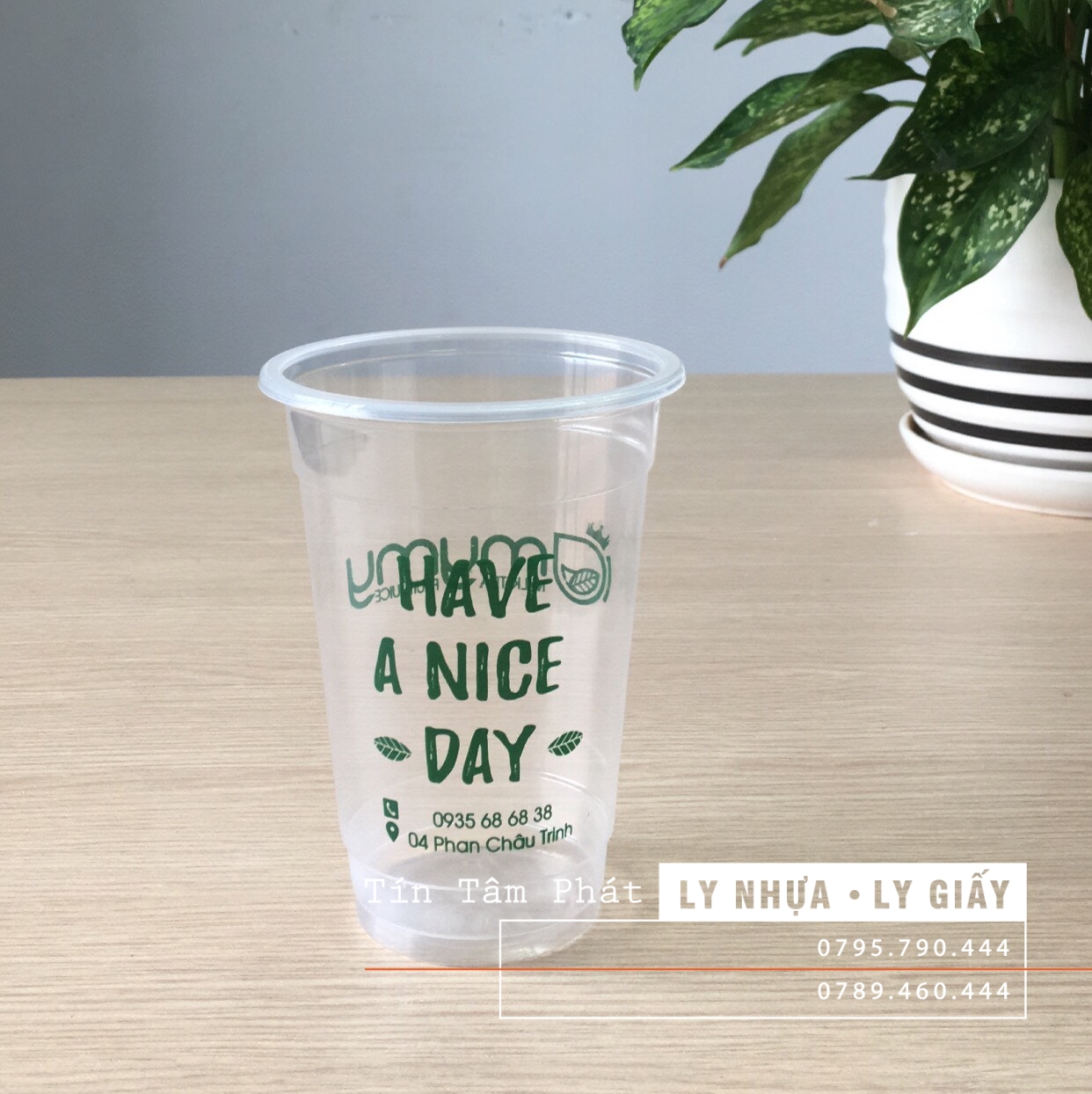 Nơi bán Ly nhựa ly giấy uy tín tại Đà Nẵng?